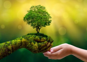 How Trees Help Us In Many Different Ways