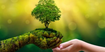 How Trees Help Us In Many Different Ways