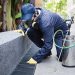 Why Opt For Professional Pest Control Services