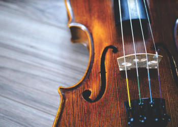 Why Should You Always Buy A Violin From Your Trustworthy Violin Shop Singapore?