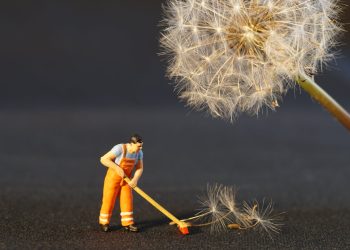 Key Factors to Consider When Choosing a Cleaning Company