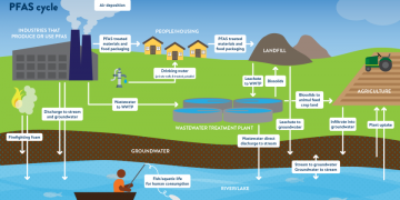 What Is Meant By PFAS and How Does It Affect Us?