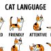 GUIDE TO COMMUNICATING WITH YOUR CAT