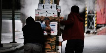 Volatile Petrol Prices and US Interest Rates will cause turbulence in the world economy. 