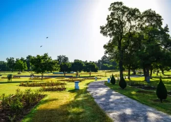 7 exciting places that can’t be missed in the city of Chandigarh