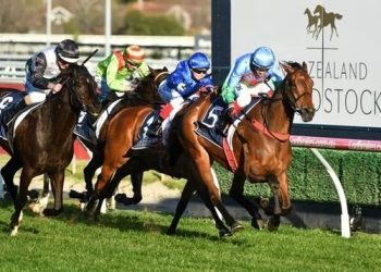 Why and how to bet on memsie stakes horse racing?