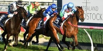Why and how to bet on memsie stakes horse racing?