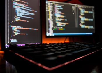 The Basics of Web Design Wagga Wagga