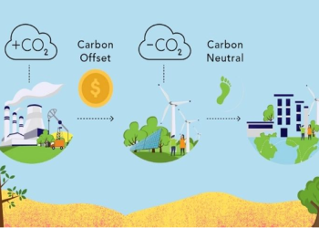 How Large Is the Carbon Credit Market?