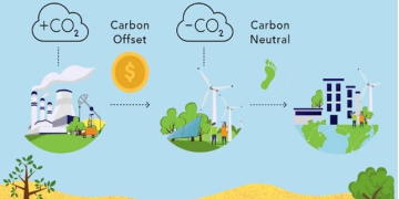 How Large Is the Carbon Credit Market?