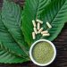 Guide to Mitragynine Alkaloid of Kratom