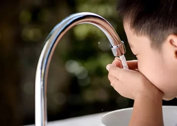 A Beginner’s Guide To Water Distribution Systems Explained