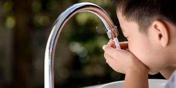 A Beginner’s Guide To Water Distribution Systems Explained