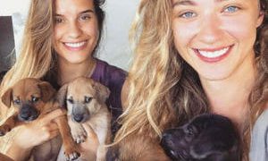 Why You Should Consider an Animal Care Project When Volunteering Abroad?