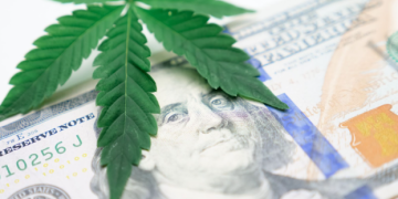 X Unique Packaging Ideas for Your Pre-Roll Business