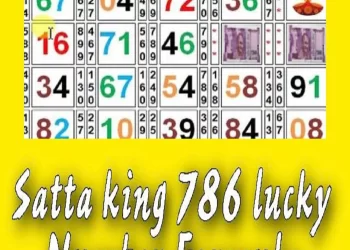 Is it necessary to understand Satta King 786 before investing money?