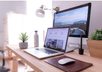 2023 Guide to SEO Website Design for Pest Control