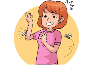 6 Ways to Save Your Family from Bugs Bites