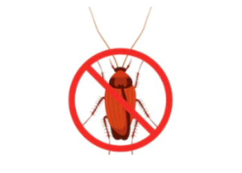 How to Get Rid of Cockroaches