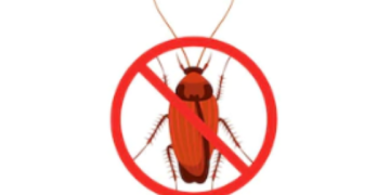 How to Get Rid of Cockroaches