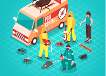 Why It’s Beneficial to Contact a Pest Control Expert