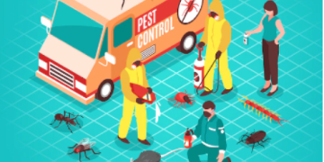 Why It’s Beneficial to Contact a Pest Control Expert