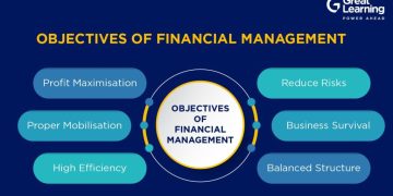 Financial Management: Why is it Important for Your Business?