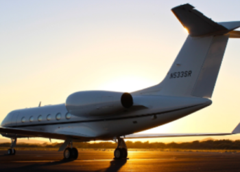 Who is a VIP concierge?