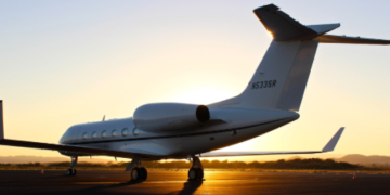 Who is a VIP concierge?