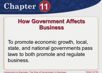 The Role of Governments in Promoting Businesses and Their Growth
