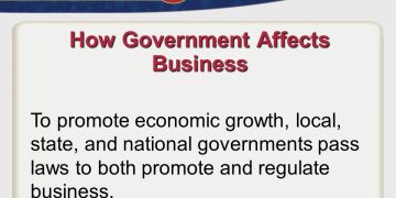 The Role of Governments in Promoting Businesses and Their Growth