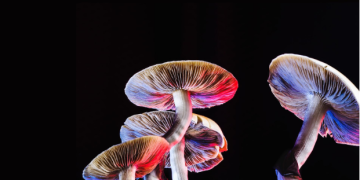 Psychedelic Drugs Used as Treatment for Mental Illness: A Comprehensive Guide to Effects, Benefits, and Exploring Online Options