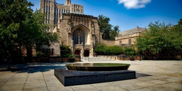 Understanding Title IX Allegations in Los Angeles