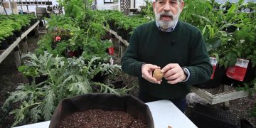 Maximizing Herbal Yield: The Advantages of Growing in Fabric Pots