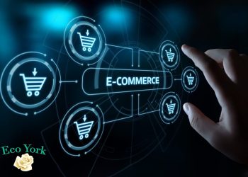 E Commerce Revolution in Business: Strategies for Thriving in the Online Market