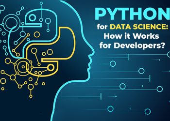 Python in Data Science: An Overview