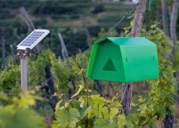 Smart Traps And Sensors For Pest Detection And Monitoring 