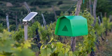Smart Traps And Sensors For Pest Detection And Monitoring 