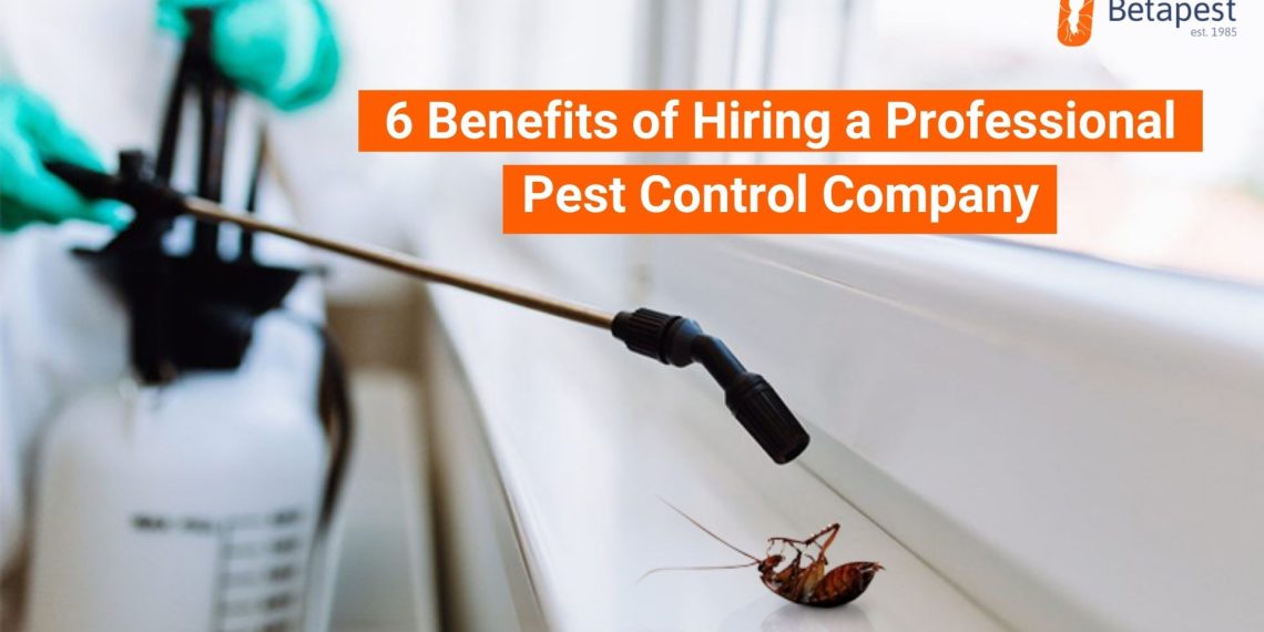 How can hiring a local pest controller benefit you?