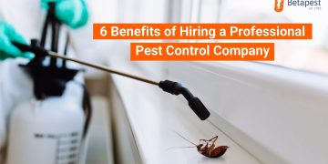 How can hiring a local pest controller benefit you? 