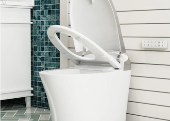 Why the Horow T20Y is the Ultimate Toilet with Bidet