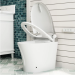 Why the Horow T20Y is the Ultimate Toilet with Bidet