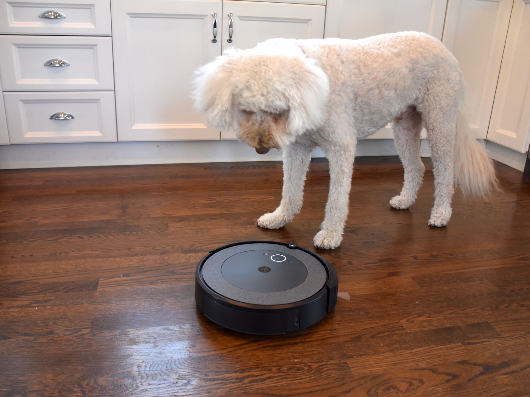Smart Robot Vacuums for Pet Hair A Must-Have for Canadian Pet Owners