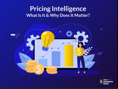 Linking pricing intelligence to marketing spend optimization
