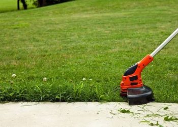 Shaping the Perfect Lawn Edges: Best Cordless Grass Trimmers