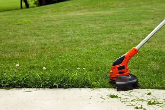 Shaping the Perfect Lawn Edges: Best Cordless Grass Trimmers